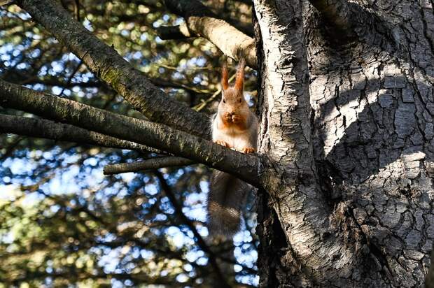 3 марта: какой сегодня день