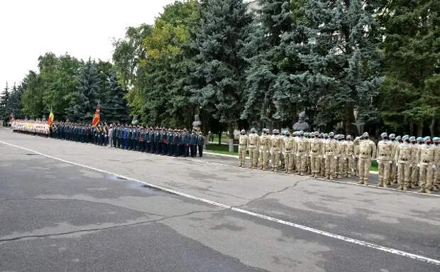 Учения Peace Shield 2024. НАТО и Молдавия продолжают сотрудничество