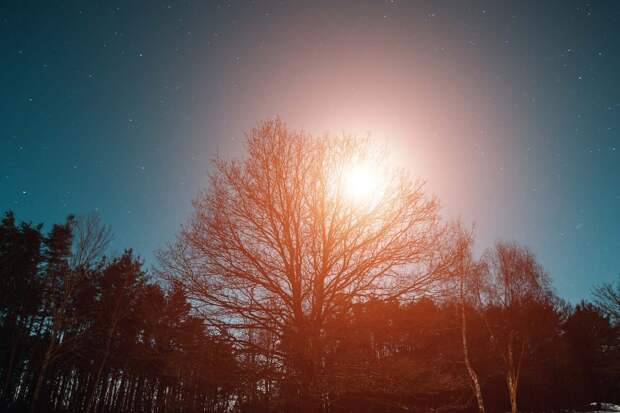 ИКИ РАН: на Солнце произошла самая мощная вспышка с начала декабря