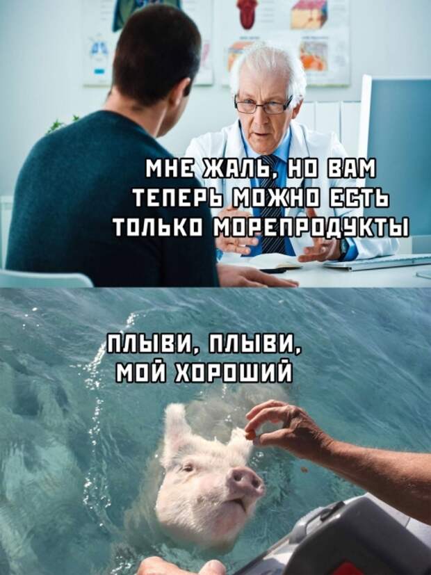 www.vsyako.net