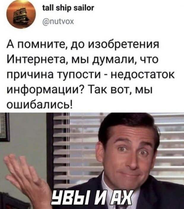 206386_14_trinixy_ru.jpg