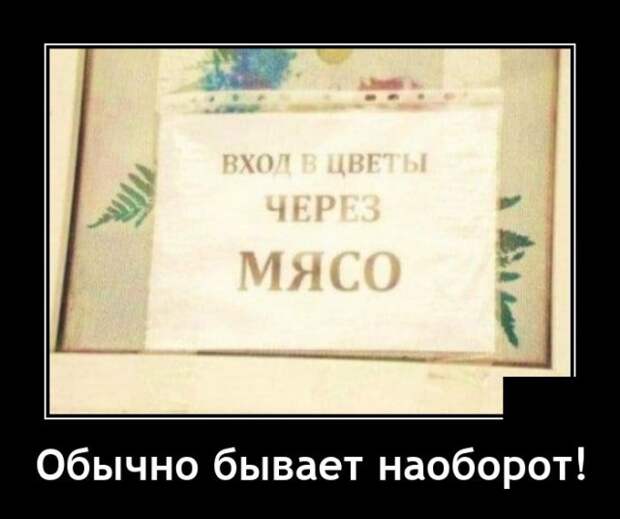 Демотиваторы 9 июня 2021