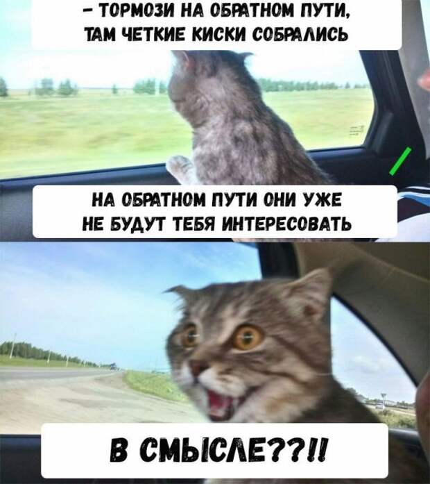 Нестандартный юмор :)