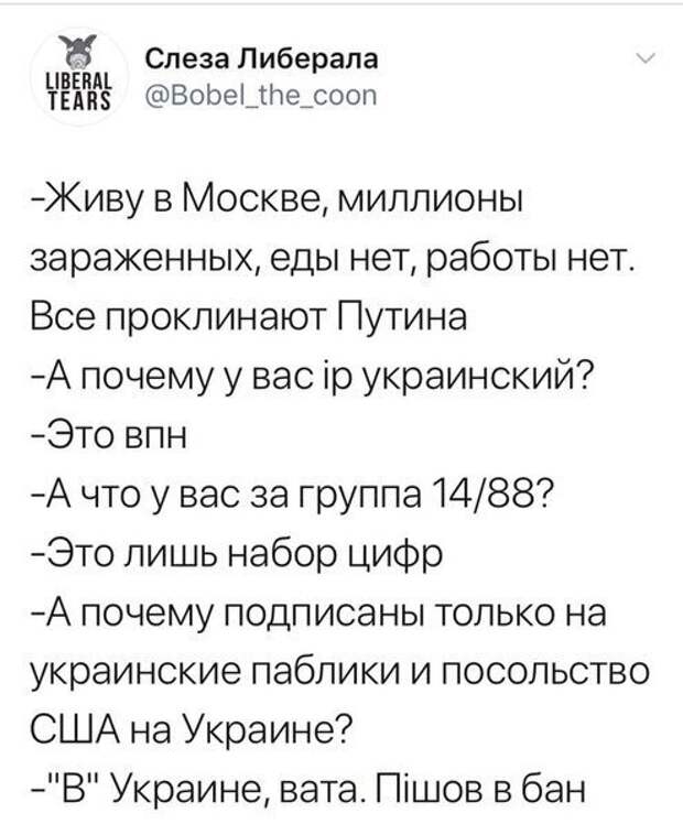 Политические комментарии из инета