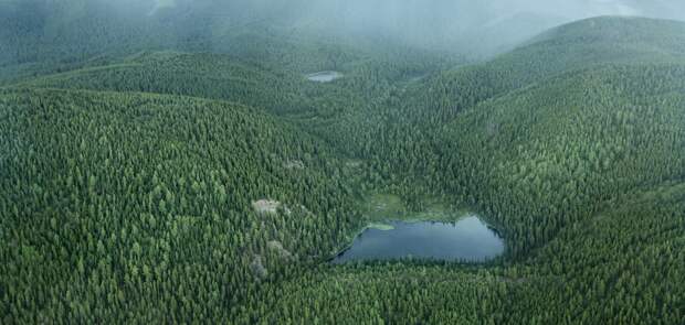 На Ямале уничтожили 19 соток леса