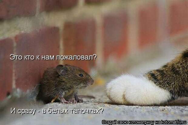 Мысли вслух :)