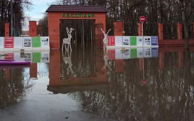 Уровень воды в Оке начнет опускаться уже завтра-послезавтра