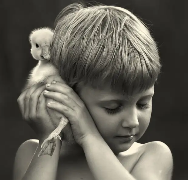 Фотографии дружбы детей и животных