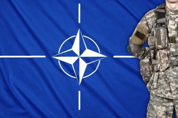 Дотком: притязания США на Гренландию разрушают НАТО