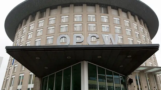 Шульгин рассказал о направленном Россией ответе 45 странам ОЗХО