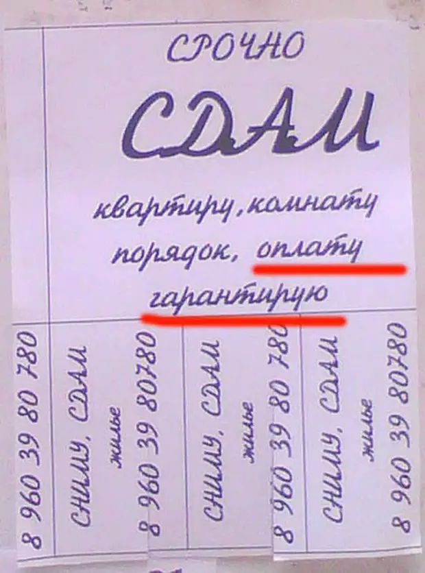 Как написать объявление о сдаче квартиры в аренду образец