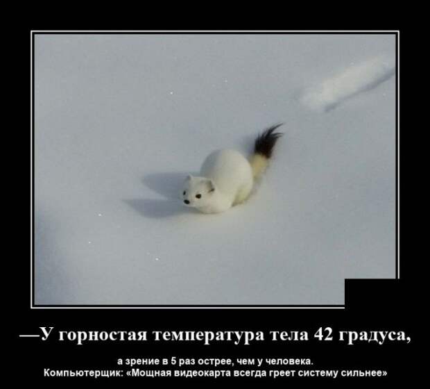 Демотиваторы 24 августа 2021 года