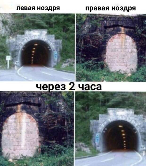 Насморк