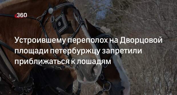 Суд петербурга запретил виновнику ЧП на Дворцовой площади приближаться к лошадям