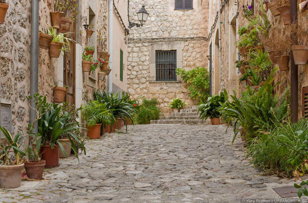 7: Город тысячи цветочных горшков