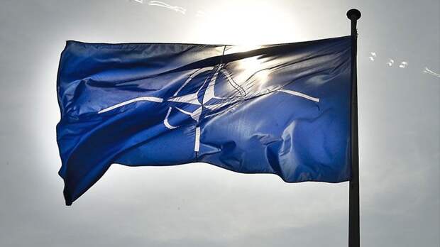 МИД Испании: НАТО не воспринимает Украину как возможного члена Альянса