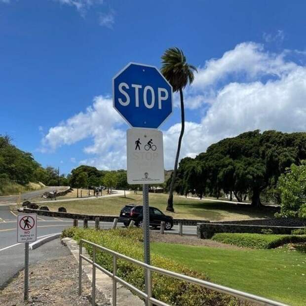 17. На Гавайях дорожный знак "Стоп" - синего цвета