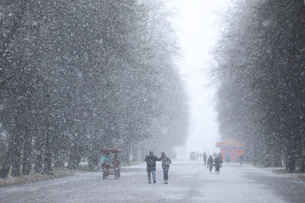 В Петербурге оттепель