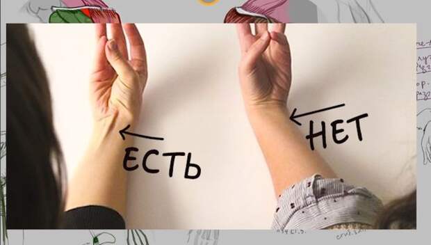 Проверь, есть ли у тебя мышца, которая помогала обезьянам лазить по деревьям