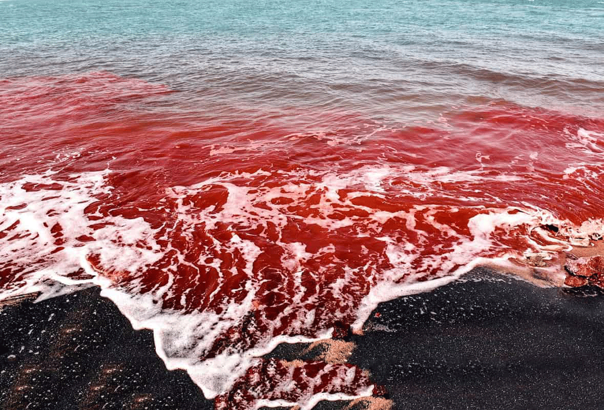 Красные волны словно кровоточат. /Фото:iranroute.com