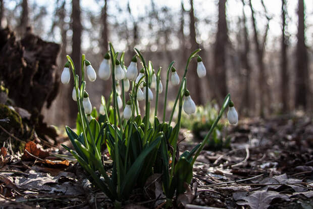 Кажется, дождь собирается… Представляем прогноз на 14 апреля в Туле