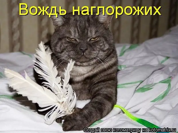  ,  !    