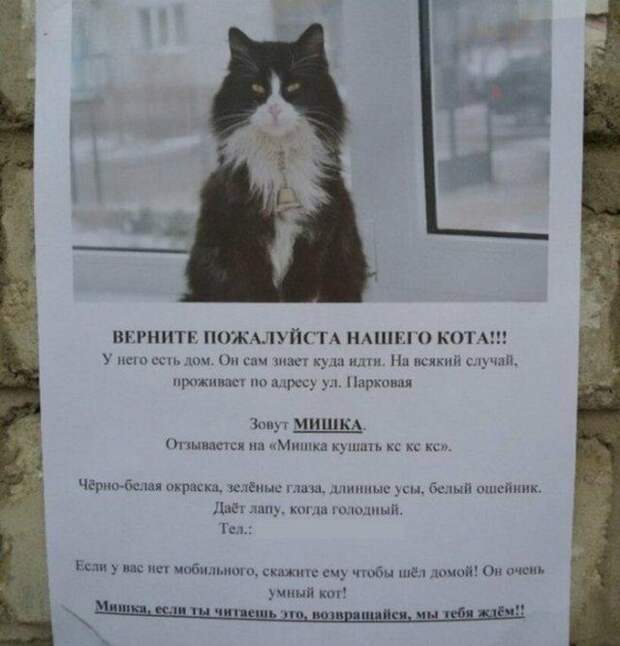 www.vsyako.net