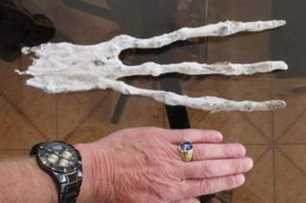 Ученые нашли руку инопланетянина с тремя пальцами