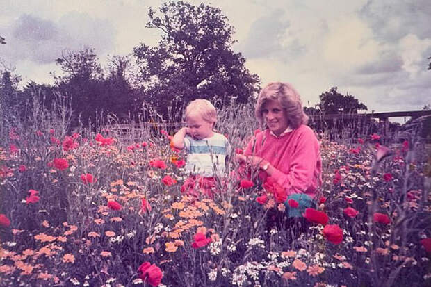 Принц Уильям показал редкий снимок с принцессой Дианой в поле
