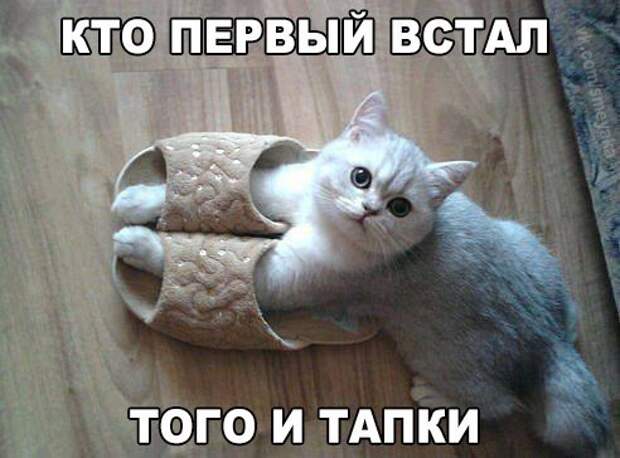 BchIjYqLcPQ