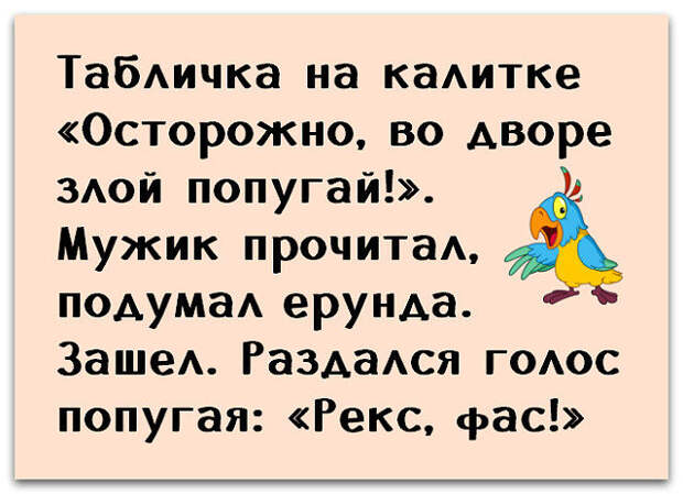 Девушка говорит парню: — Сними мою блузку...