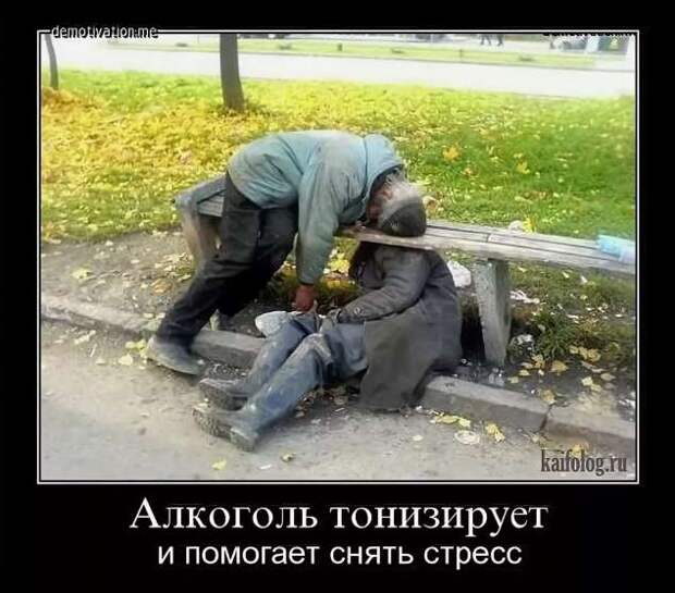 Прикольные демотиваторы с надписями. Подборка chert-poberi-dem-chert-poberi-dem-46370623082020-10 картинка chert-poberi-dem-46370623082020-10