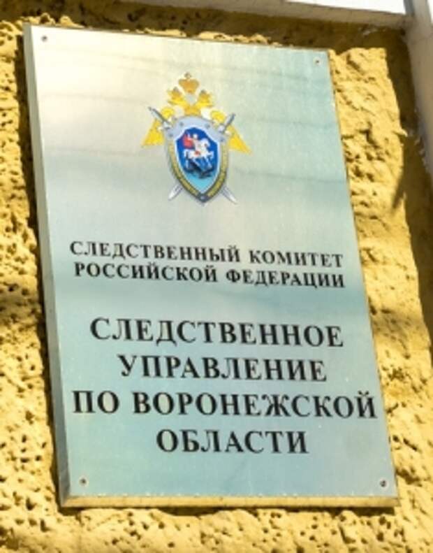 В центральный аппарат будет представлен доклад о ходе проверки по факту нарушения прав жителей Воронежской области