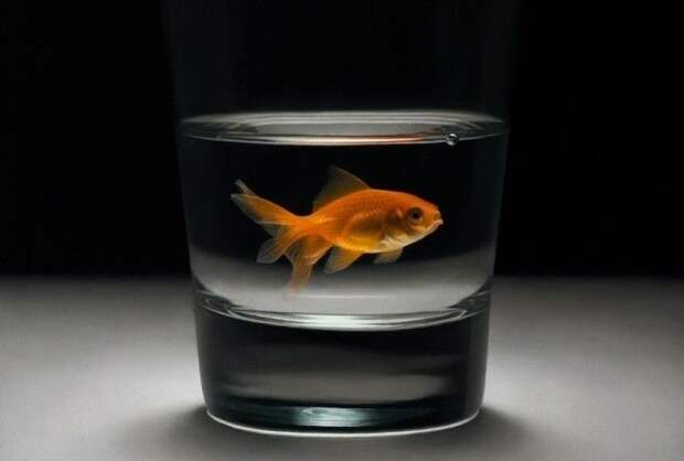 Удивительно, но все это — действительно картины…