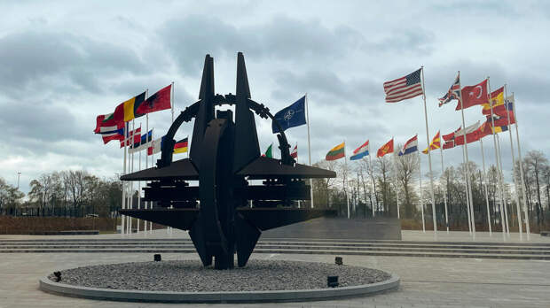 Захарова сравнила НАТО со стадом овец во главе с волком в овечьей шкуре