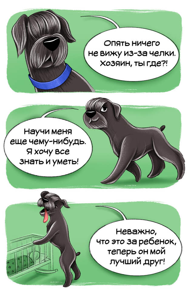Честный гид по породам собак от первого лица (Часть 2-я)