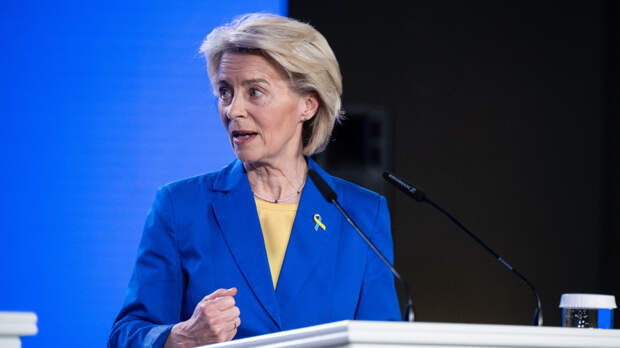 Под крылом Вашингтона? Руководство ЕС теряет авторитет на фоне иранского кризиса