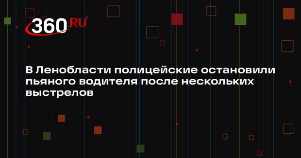 В Ленобласти полицейские остановили пьяного водителя после нескольких выстрелов