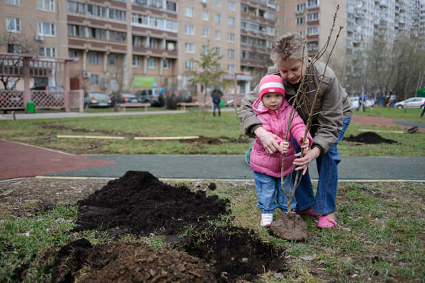 После завершения стройки начнется масштабная высадка тысячи новых растений / Фото: архив газеты «Юго-Восточный курьер»