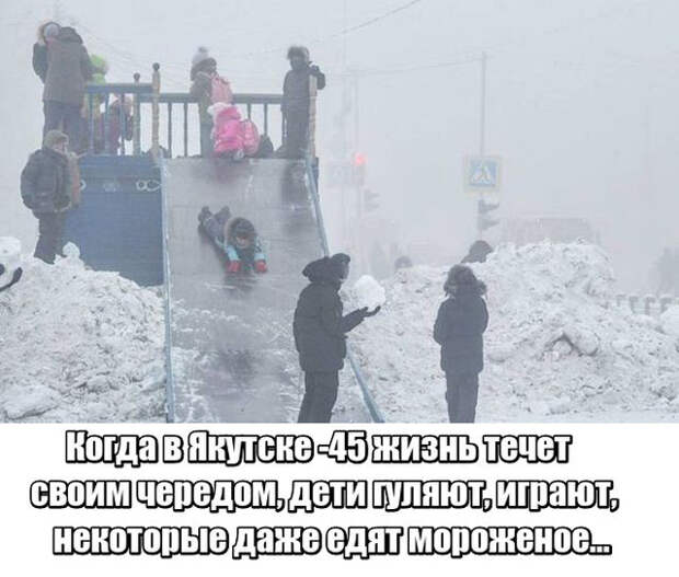 Подборка картинок. Вечерний выпуск (52 фото)