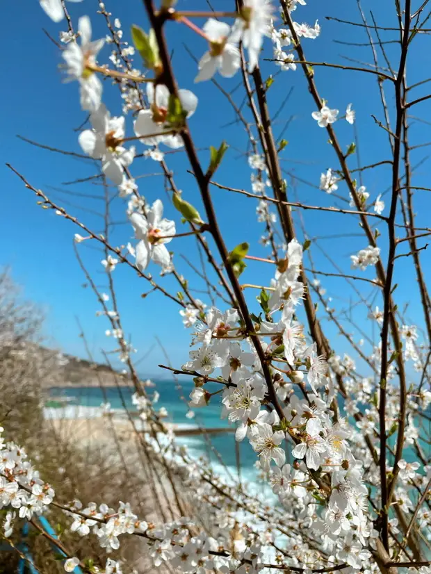 Как провести выходной в Крыму?