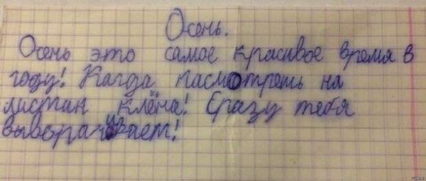 Ученики, которые изо всех сил старались быть лучшими, но что-то пошло не так история, прикол, факты, юмор