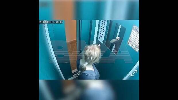 Настоящего демона нашли в Балашихе — сумасшедшая бабка держит в страхе жильцов дома, бросается на них с ножом, бьёт молотком двери, убивает пито...