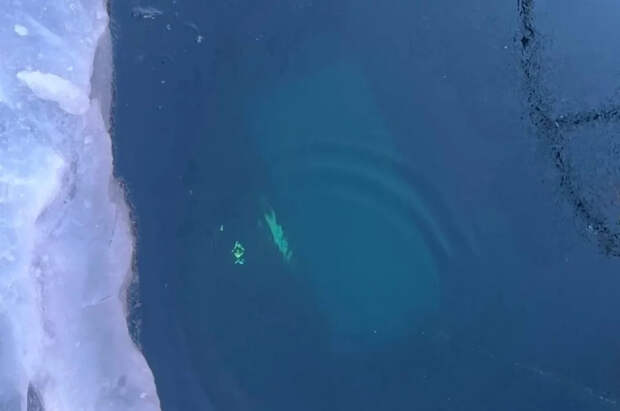 Машину вел шаман: стали известны новые детали гибели туристов на Байкале