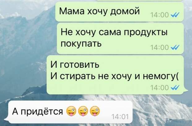 Приколы про взрослую жизнь