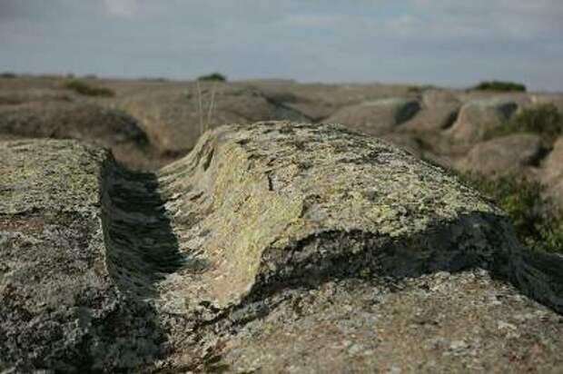 http://www.earthbeforeflood.com/