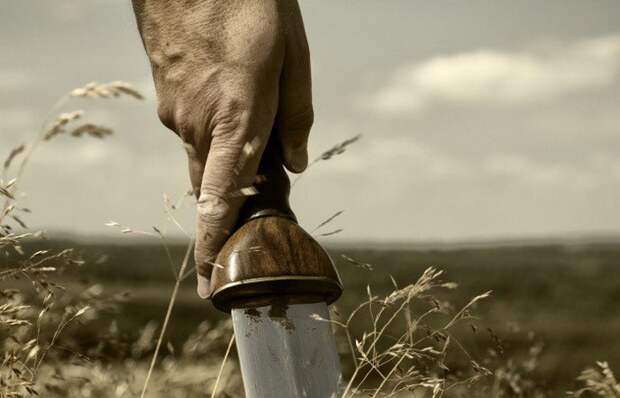 Rex Nemorensis. | Фото: listverse.com