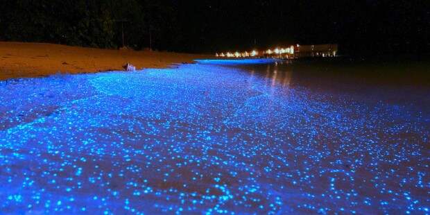 Светящееся побережье на Мальдивах
