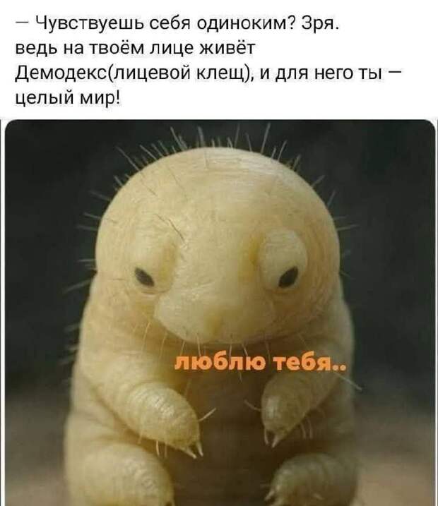 @psychology_funny #юмор #смешное #приколы