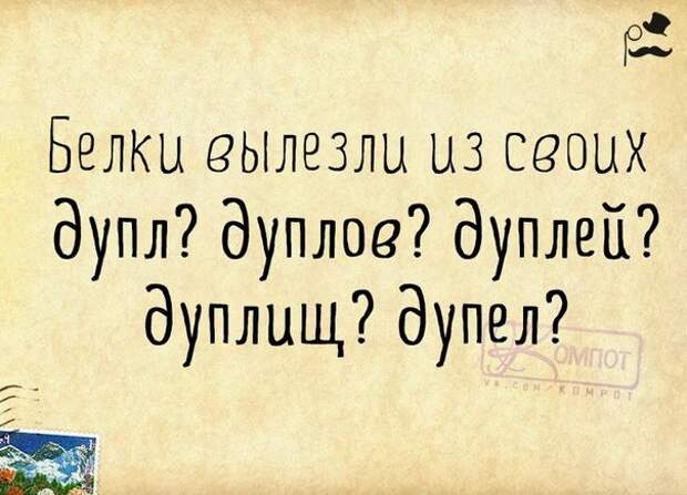 Белки вылезли из своих дупл? дуплов? дуплей? дуплищ? дупел?